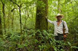 Abel, a forest warden protecting biodiversity-rich forests in the Sierra Gorda.: Photograph by Roberto Pedraza Ruiz